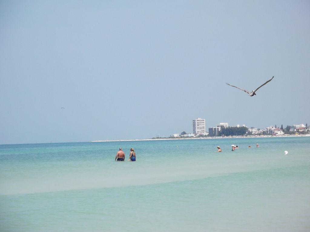 1+1 Large Condo Sarasota megye Kültér fotó